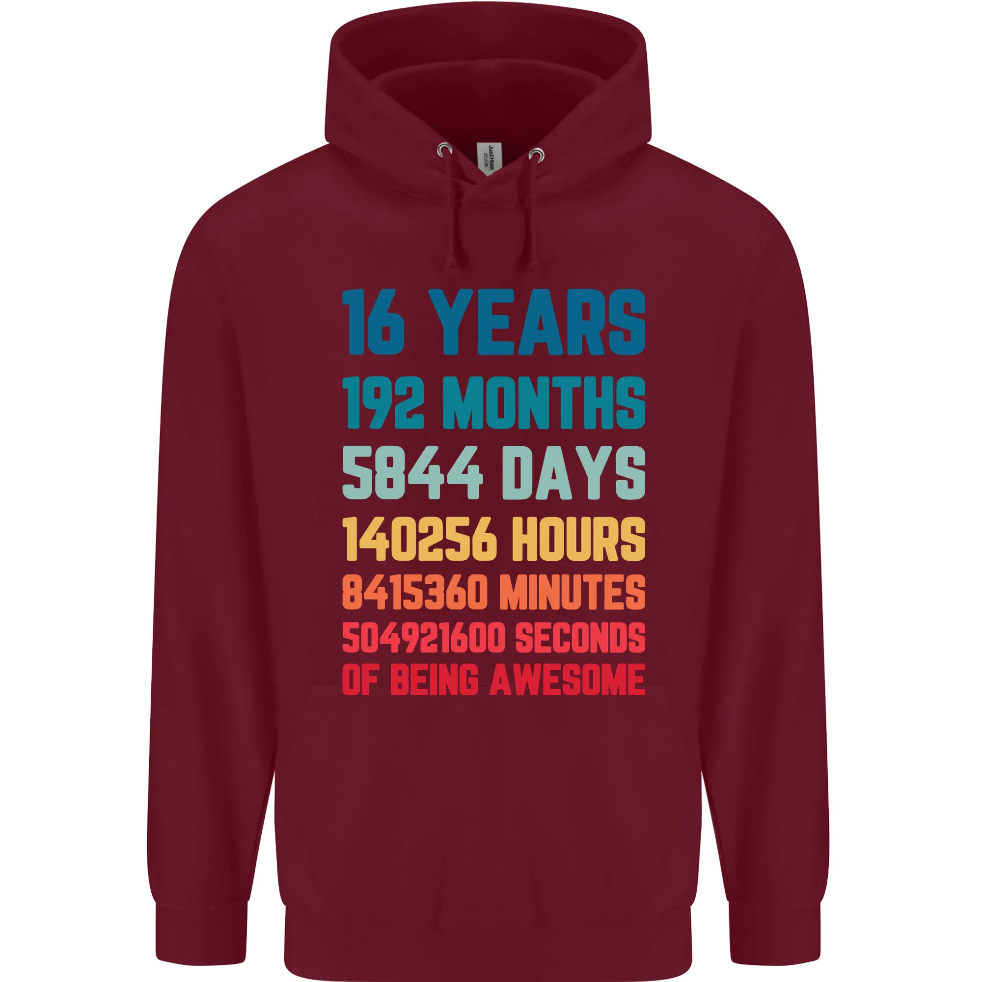 16th Birthday 16 Year Old Mens 80% Cotton Hoodie