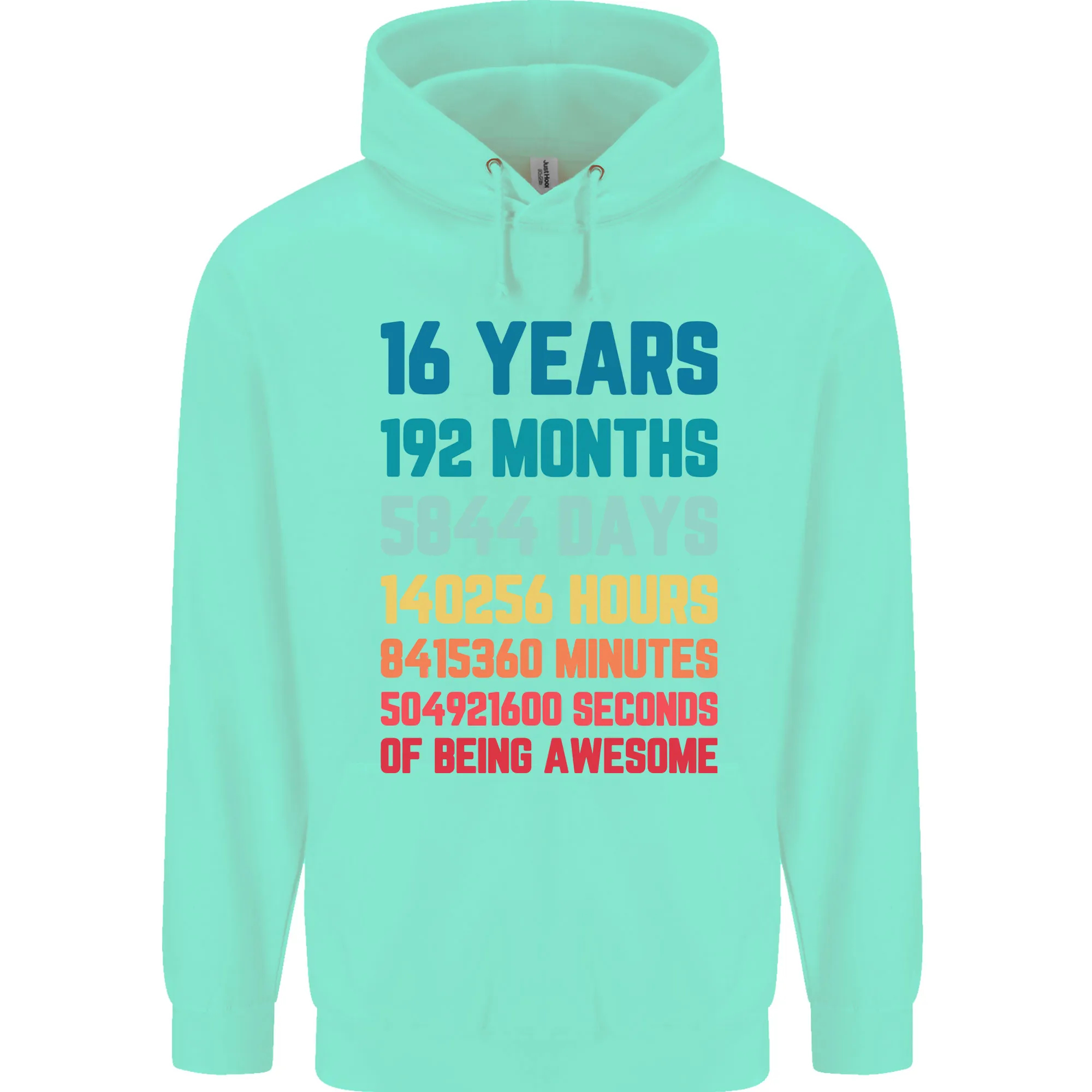 16th Birthday 16 Year Old Mens 80% Cotton Hoodie