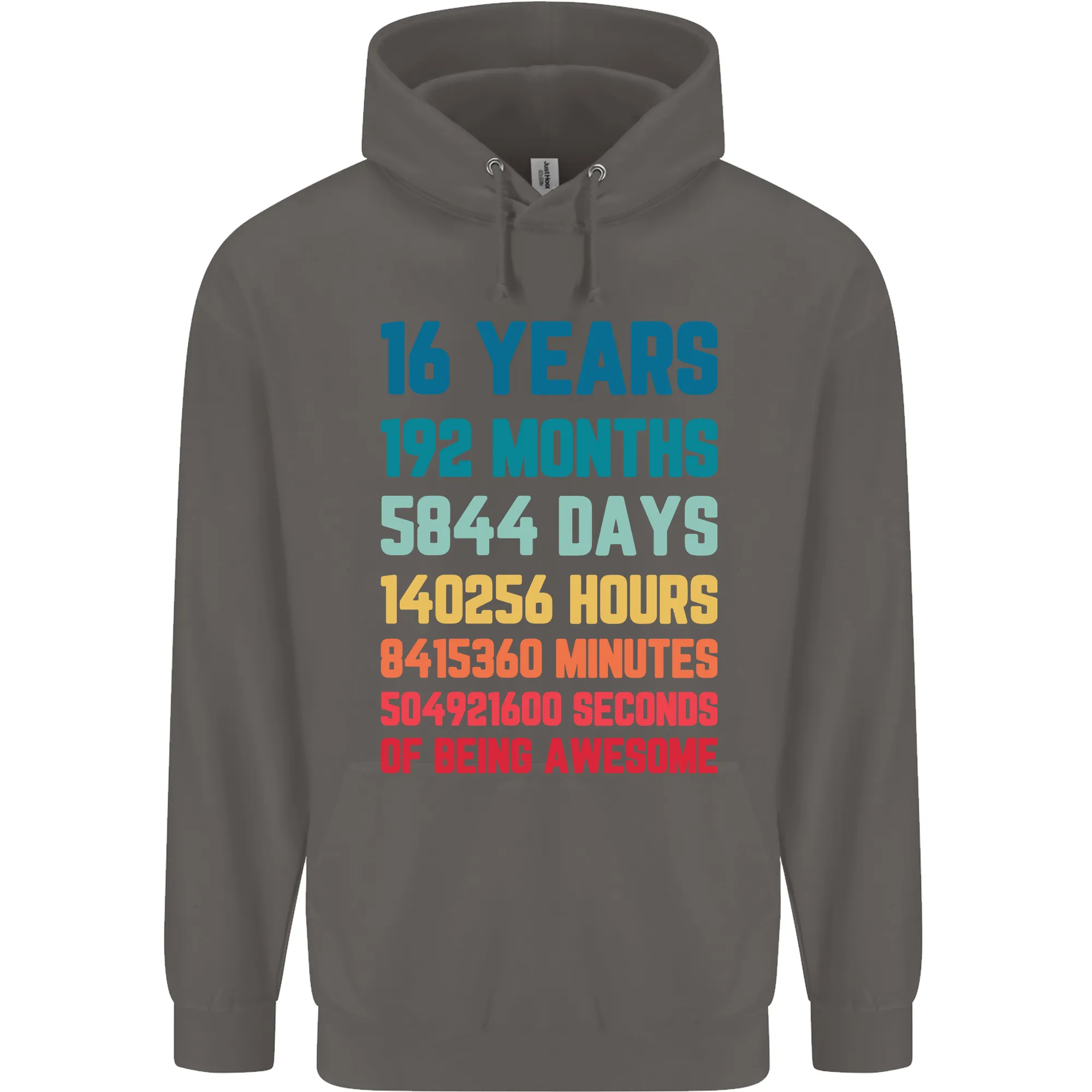 16th Birthday 16 Year Old Mens 80% Cotton Hoodie