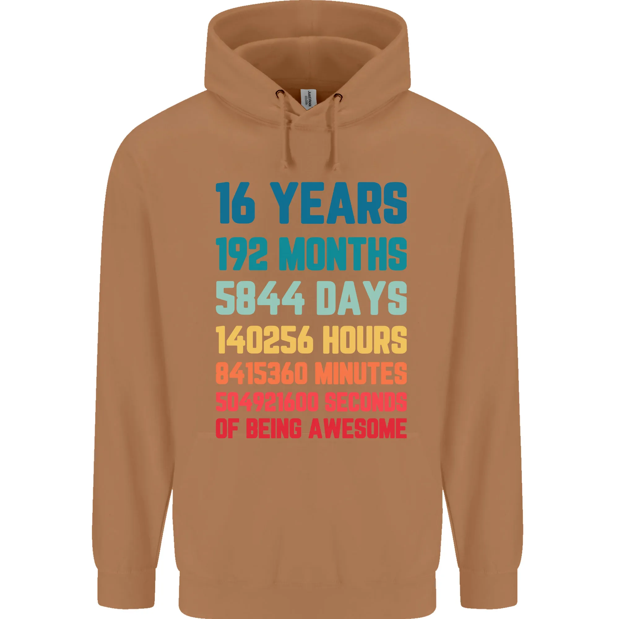 16th Birthday 16 Year Old Mens 80% Cotton Hoodie