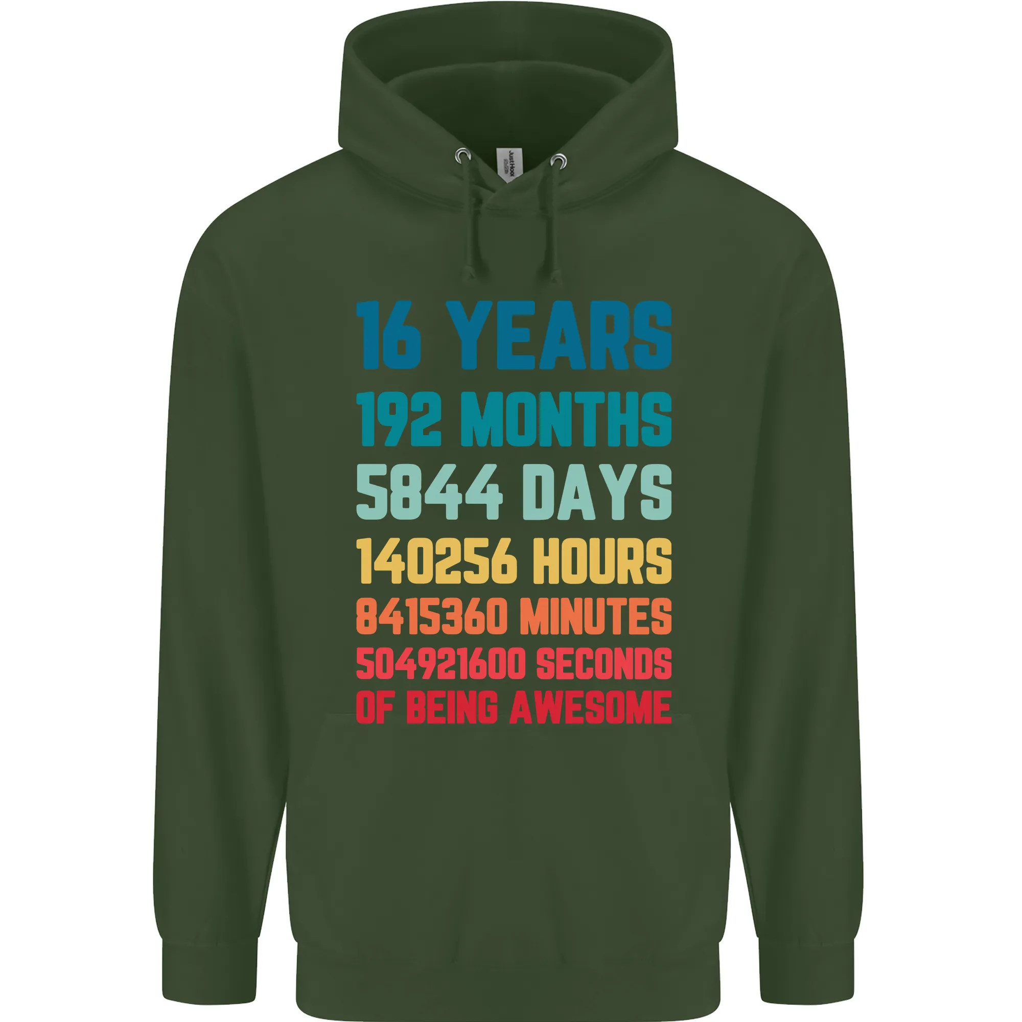 16th Birthday 16 Year Old Mens 80% Cotton Hoodie