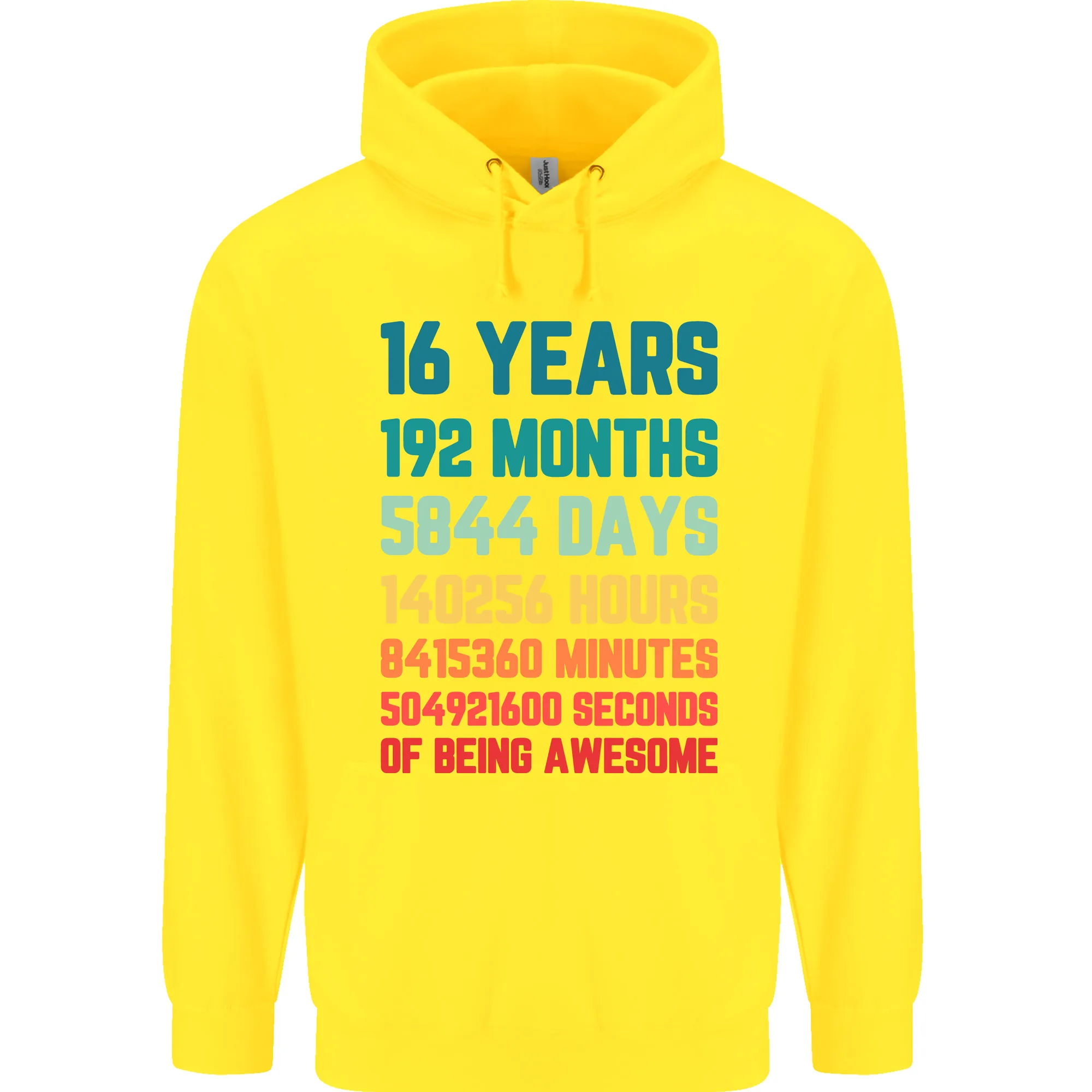 16th Birthday 16 Year Old Mens 80% Cotton Hoodie