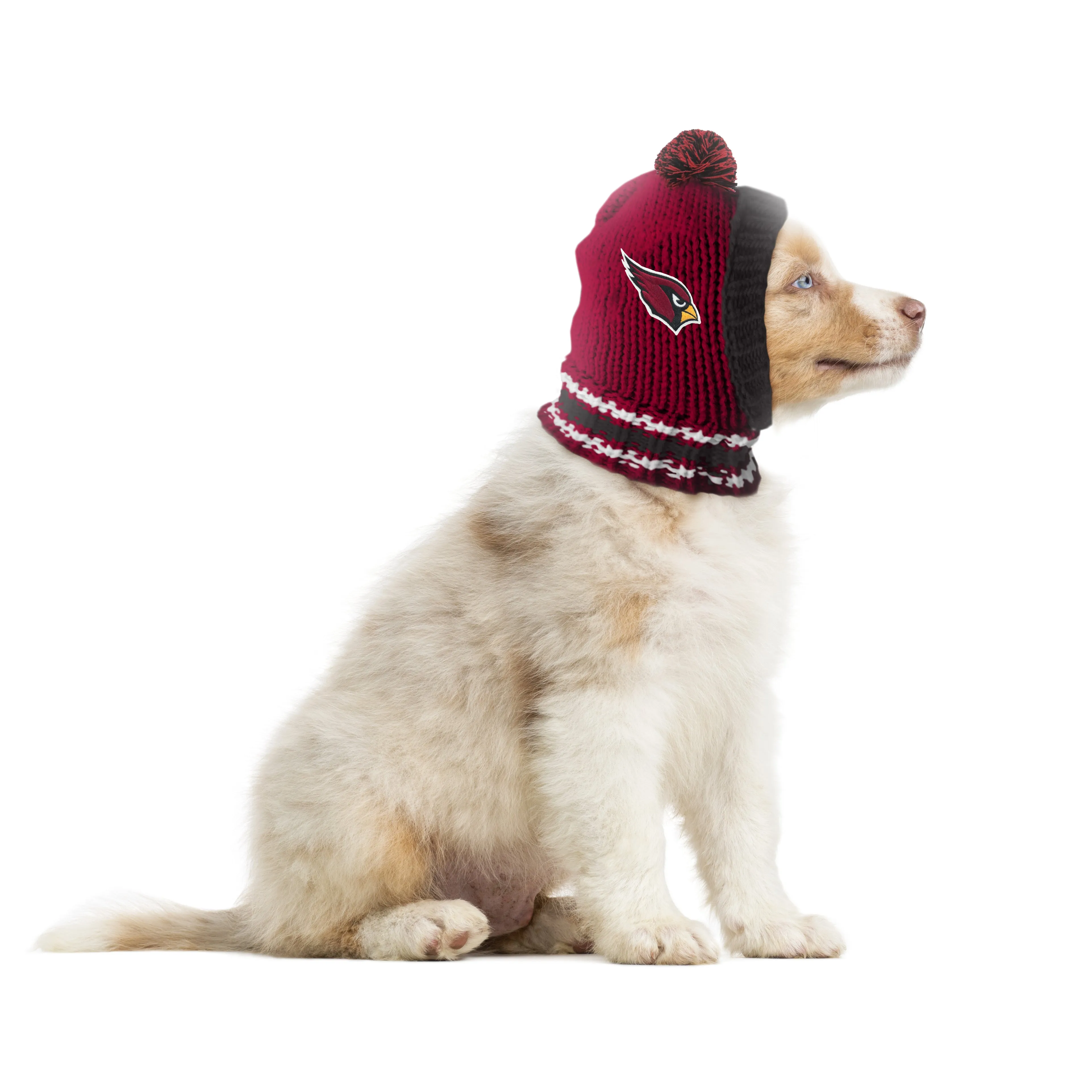 Arizona Cardinals Team Pet Knit Hat