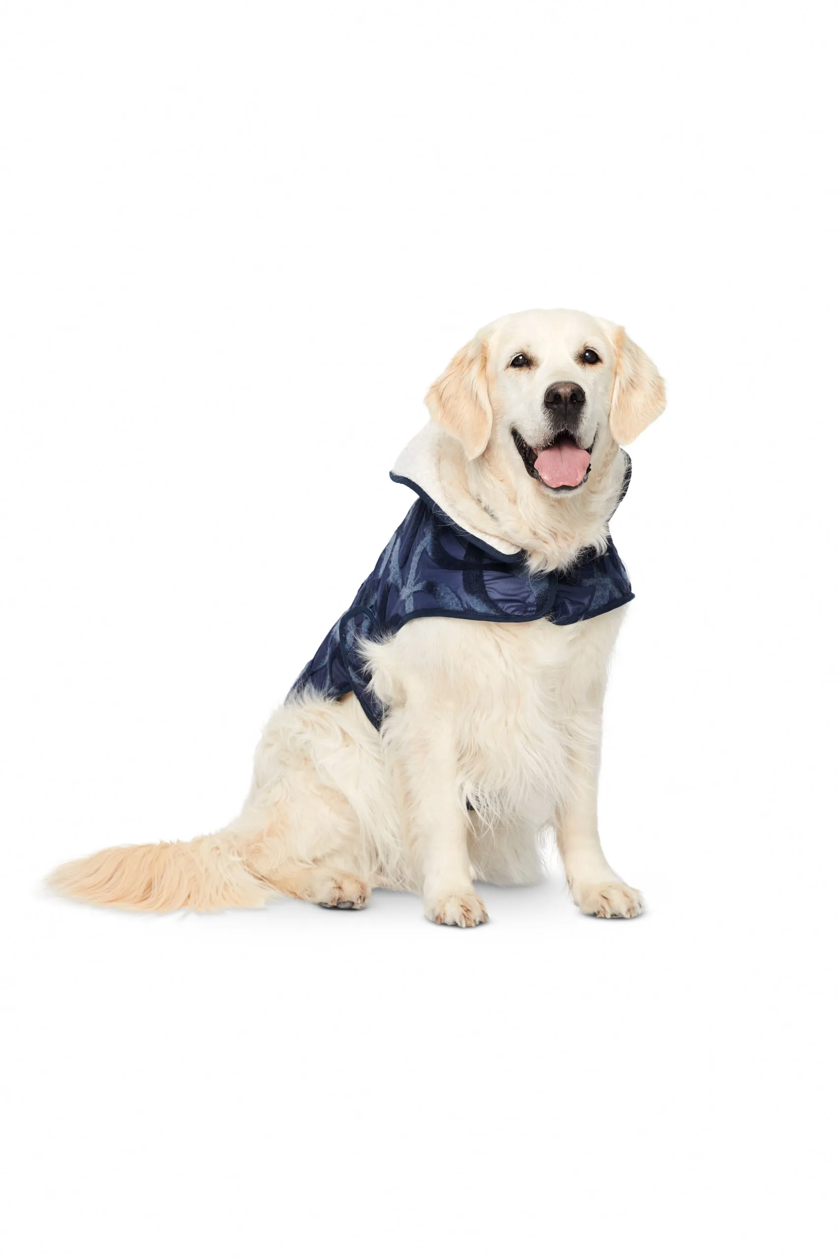 Burda Dog Coats 6049