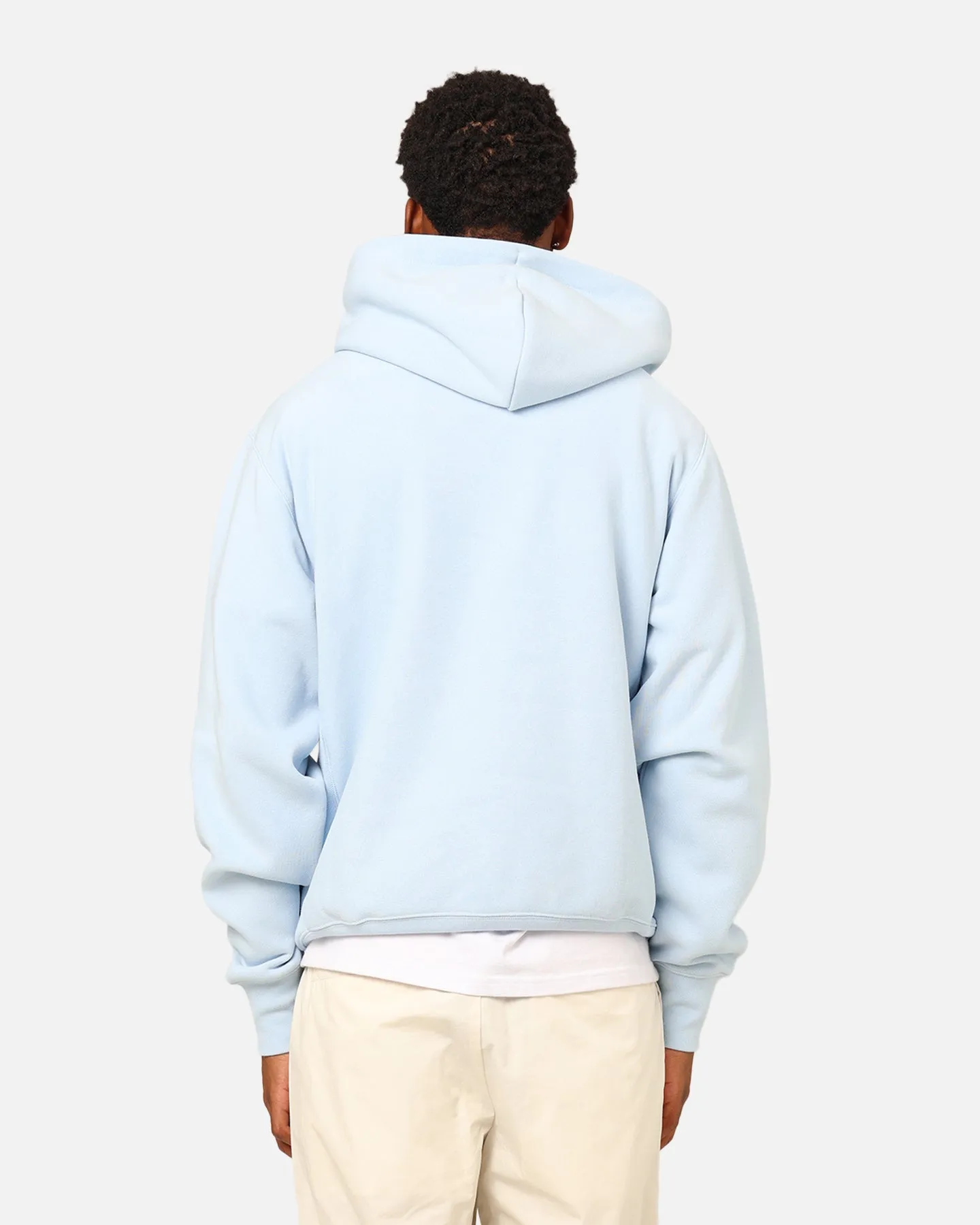 Champion Reverse Weave Small C Hoodie Sleeping Beauty