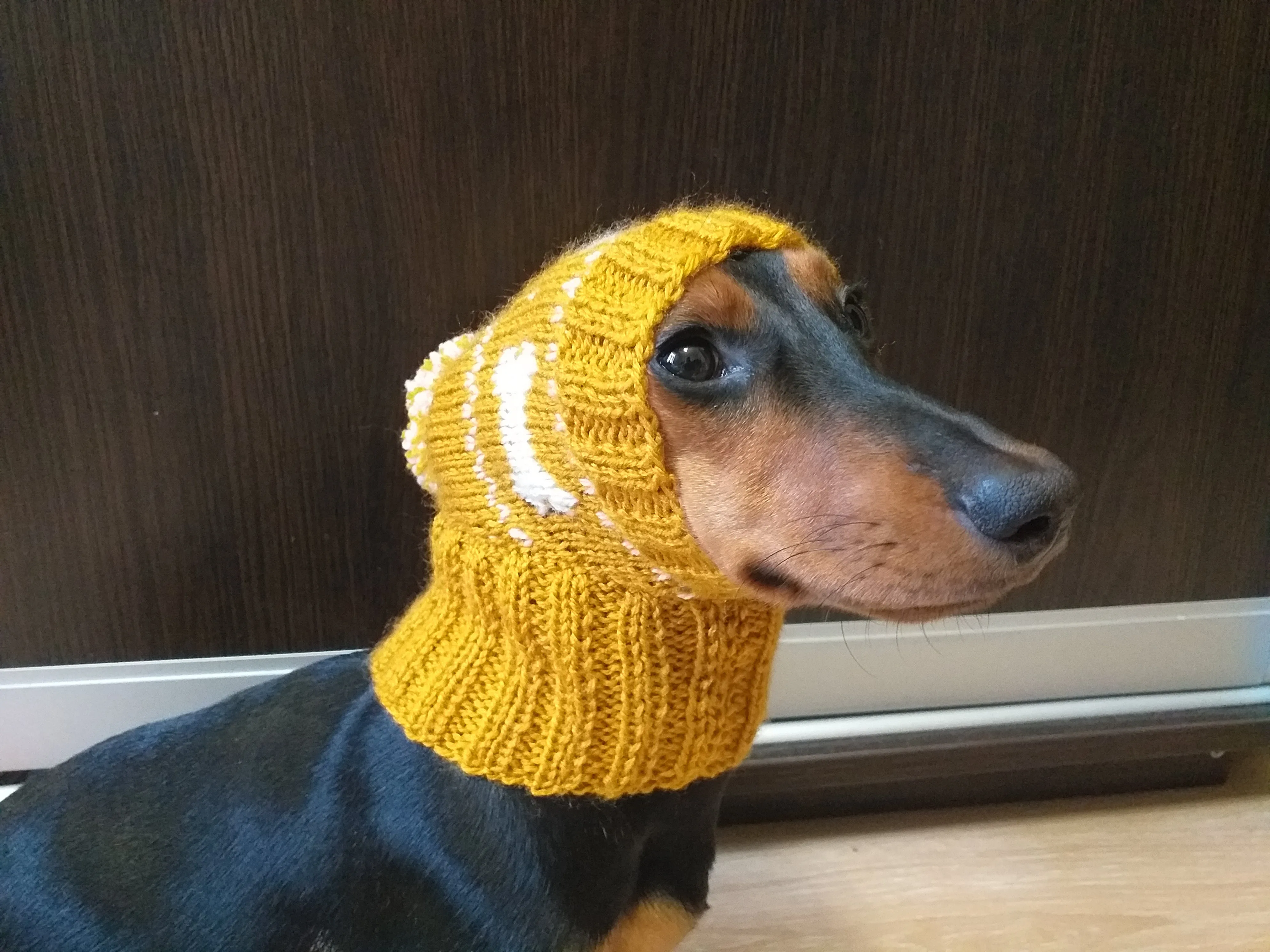 Dog clothes knitted hat with pompom, dog hat with bones