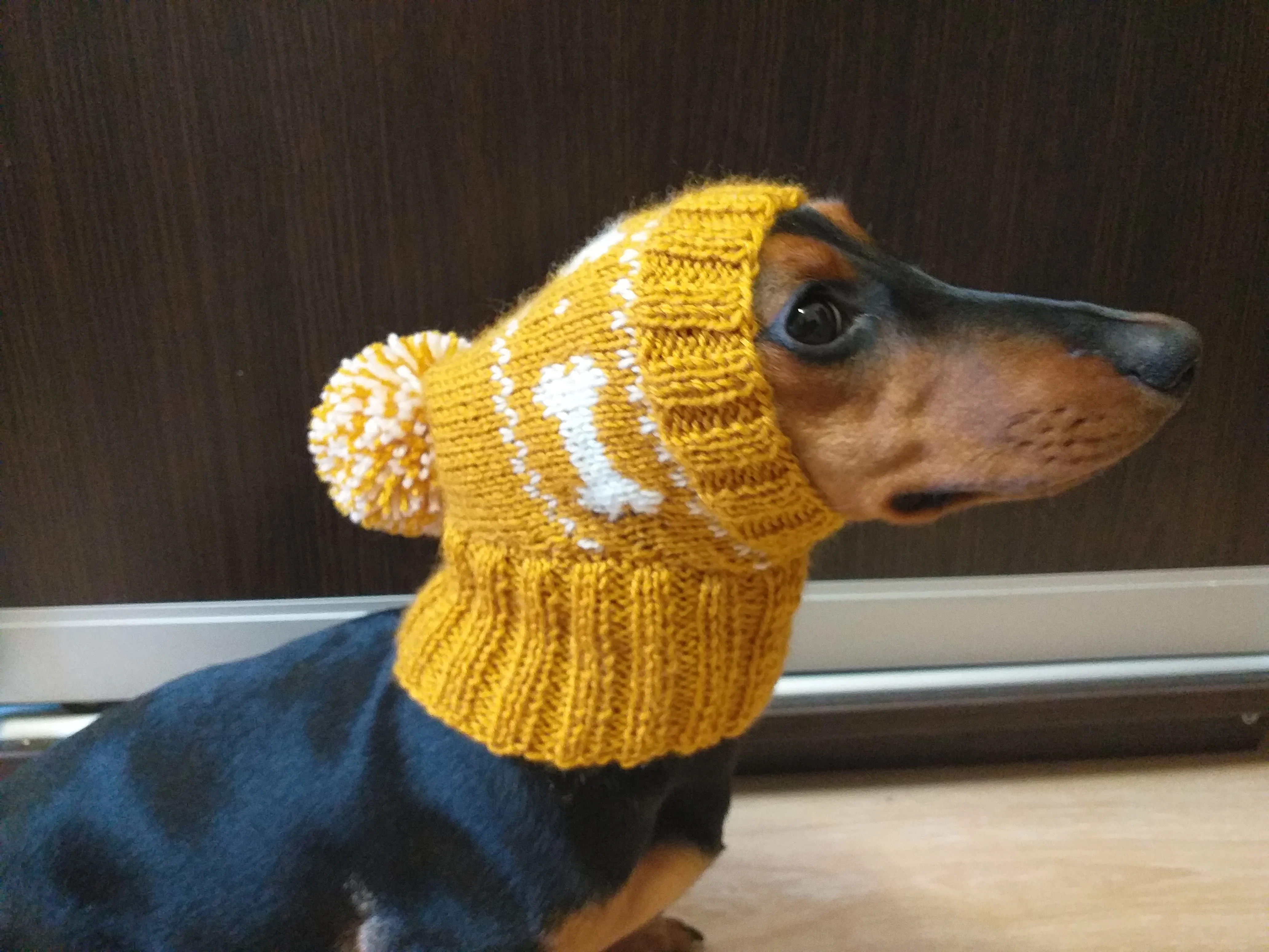 Dog clothes knitted hat with pompom, dog hat with bones