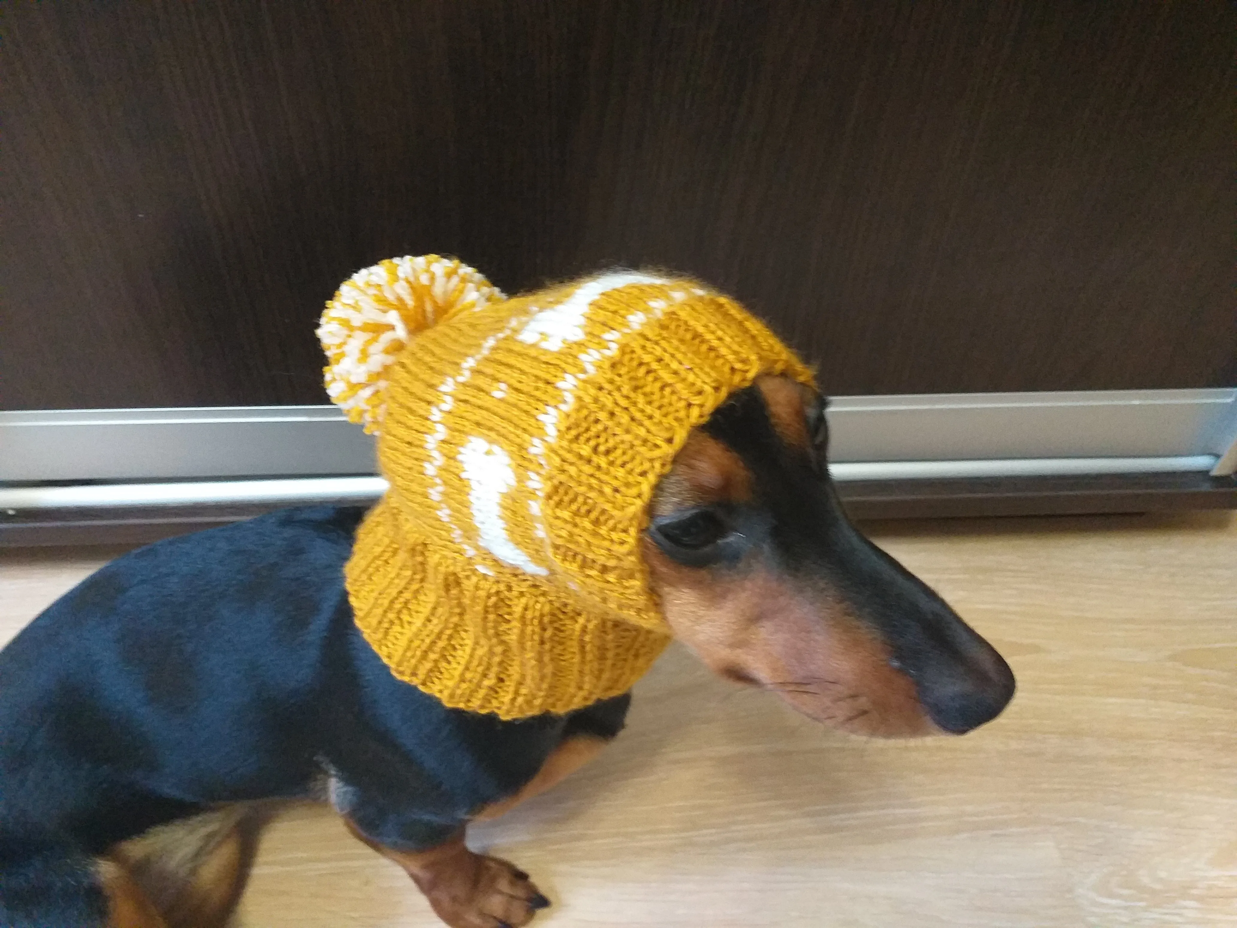 Dog clothes knitted hat with pompom, dog hat with bones