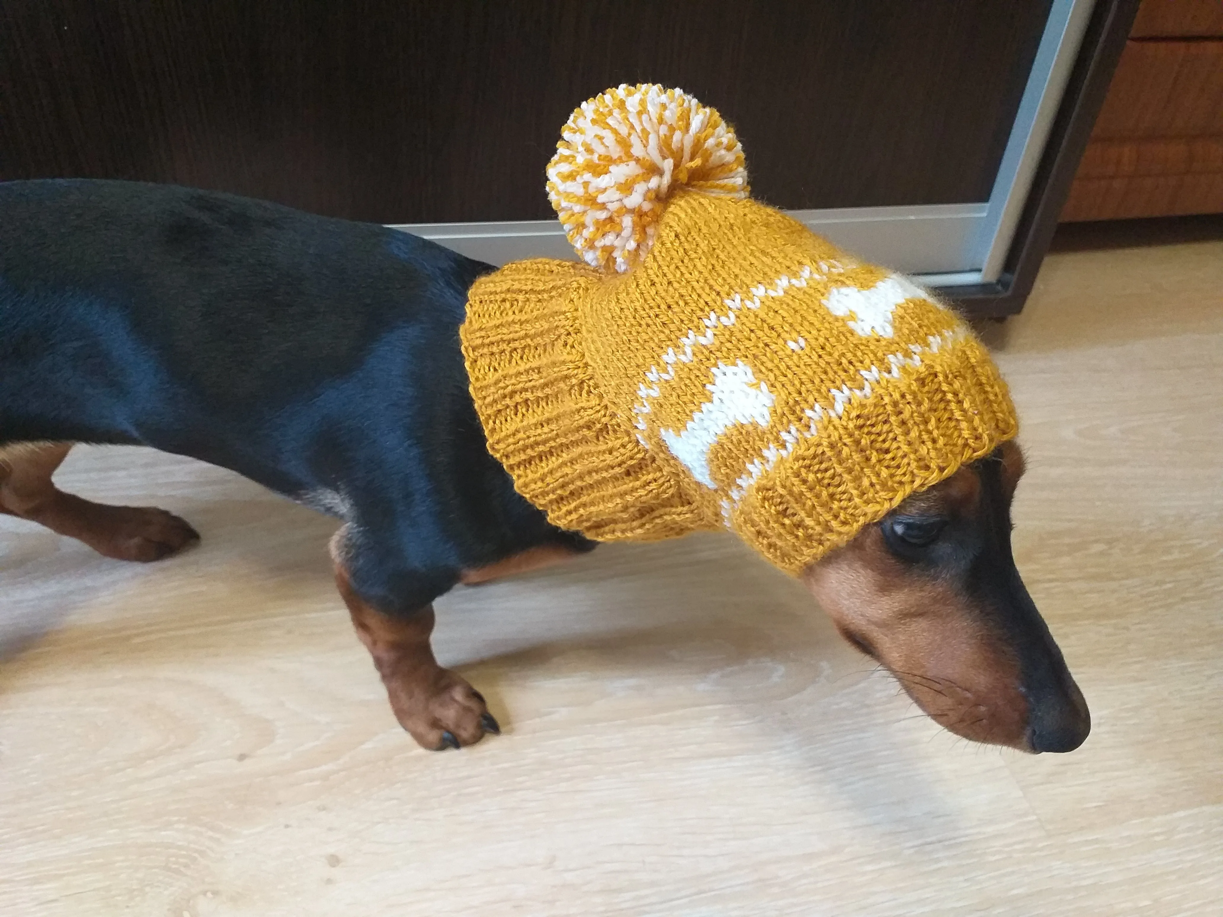 Dog clothes knitted hat with pompom, dog hat with bones