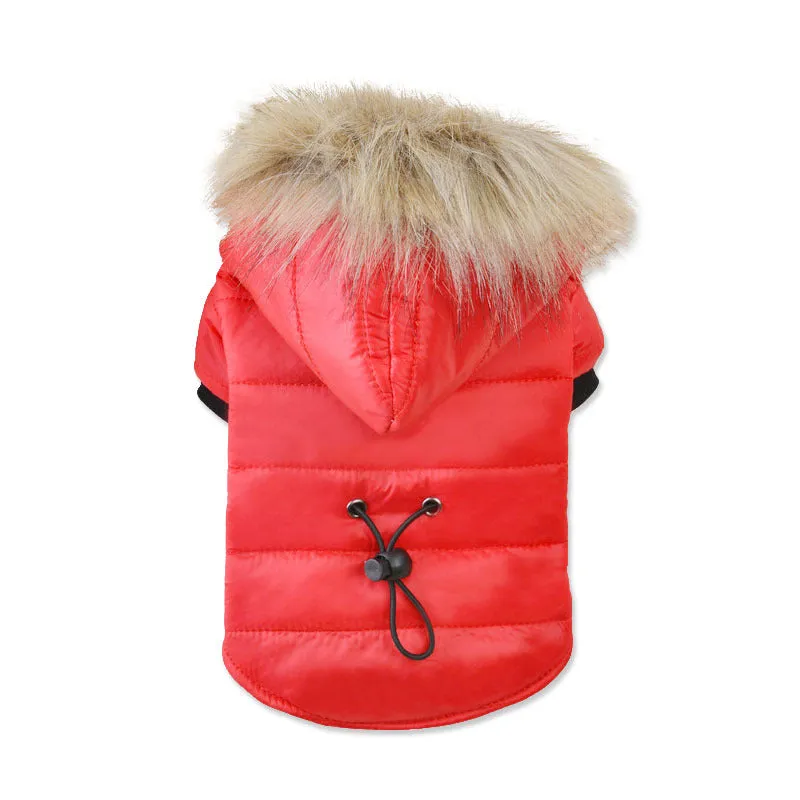 Foreign Trade Cross-Border Pet Clothing | Autumn & Winter Warm Cotton Coat for Small Dogs | Bichon Frise, Pomeranian, Teddy