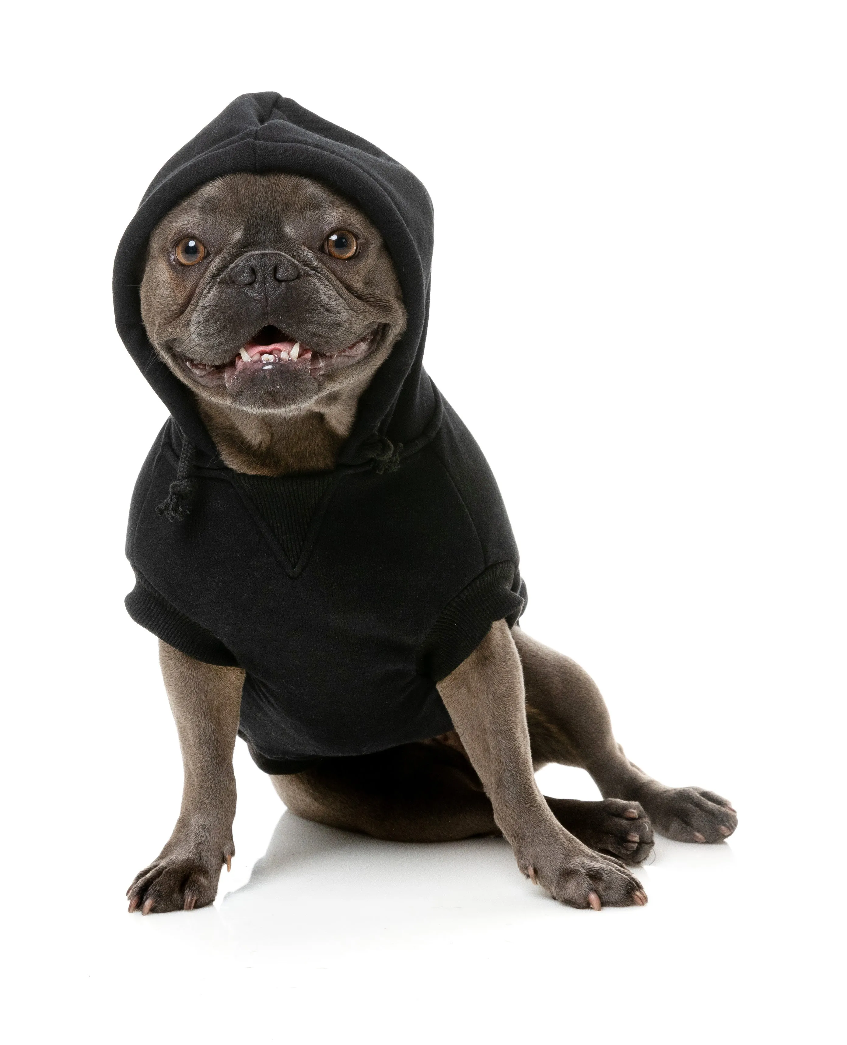 FuzzYard Flash Dog Hoodie Black