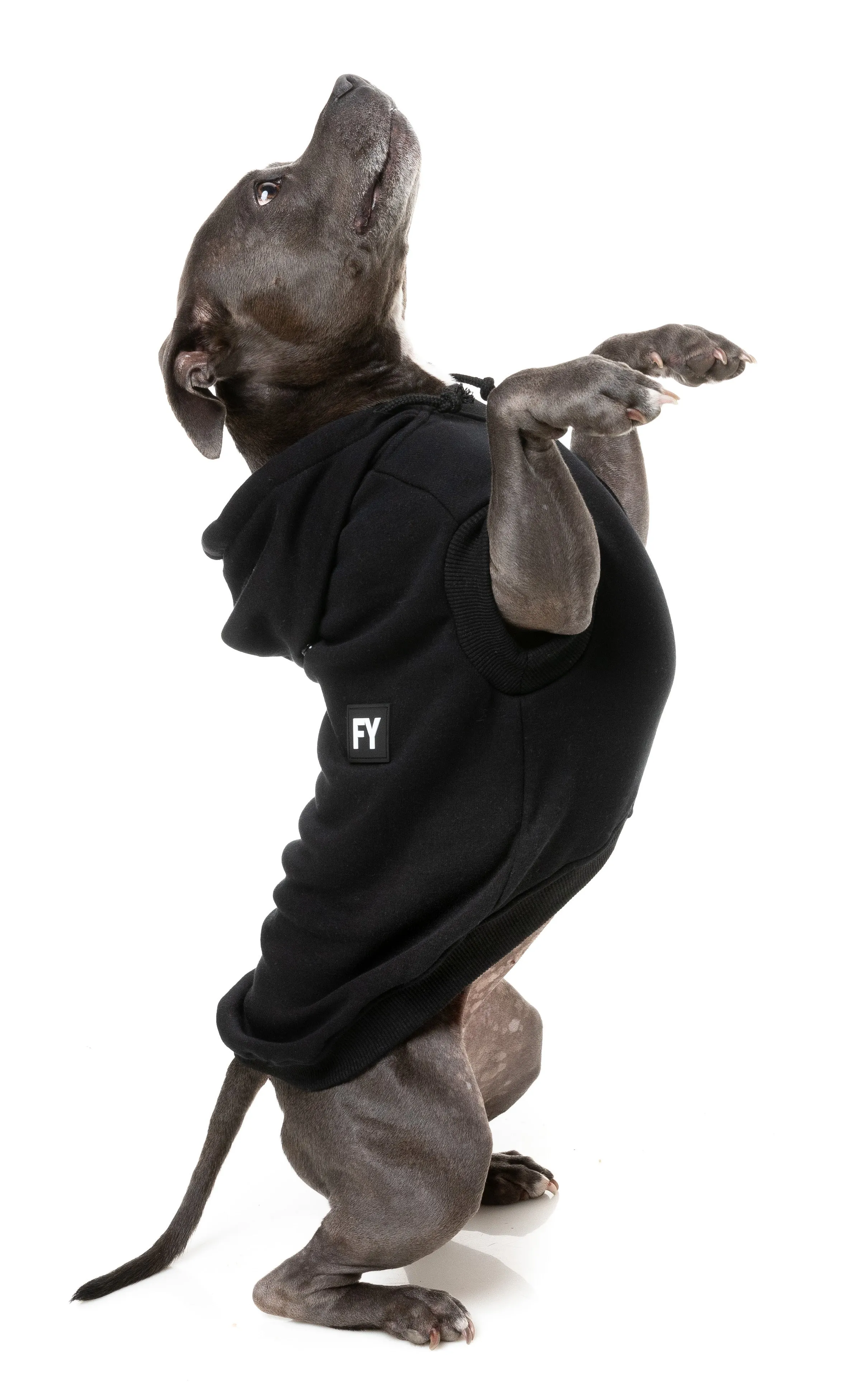 FuzzYard Flash Dog Hoodie Black