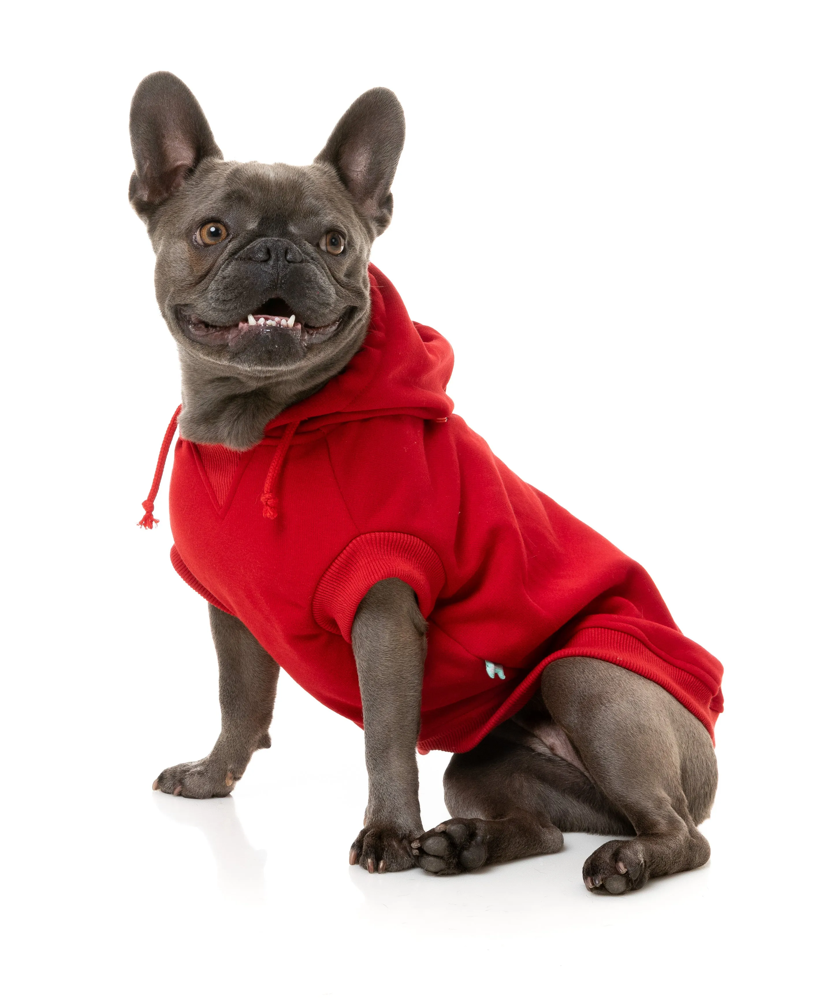 FuzzYard Flash Dog Hoodie Red