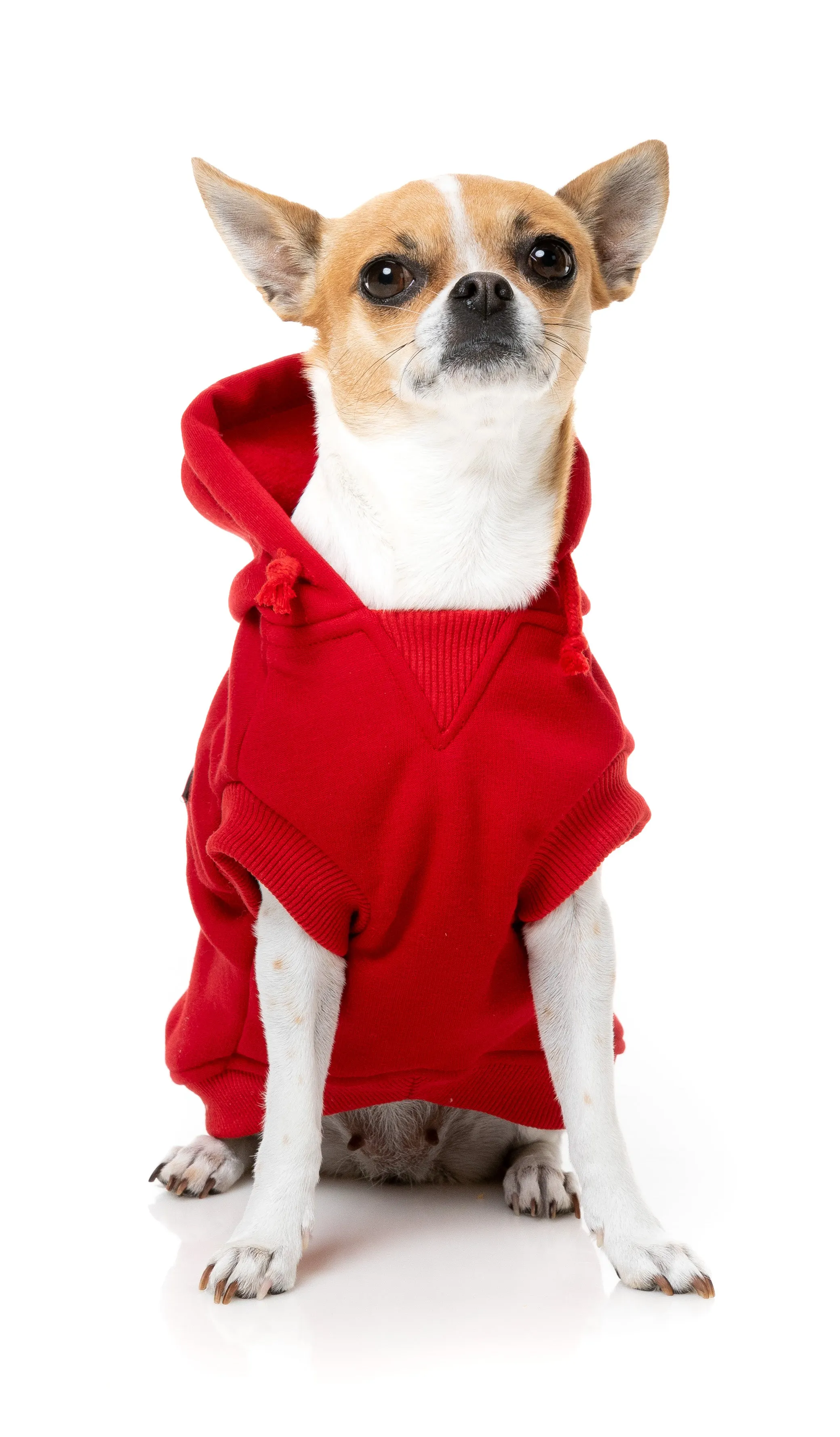 FuzzYard Flash Dog Hoodie Red