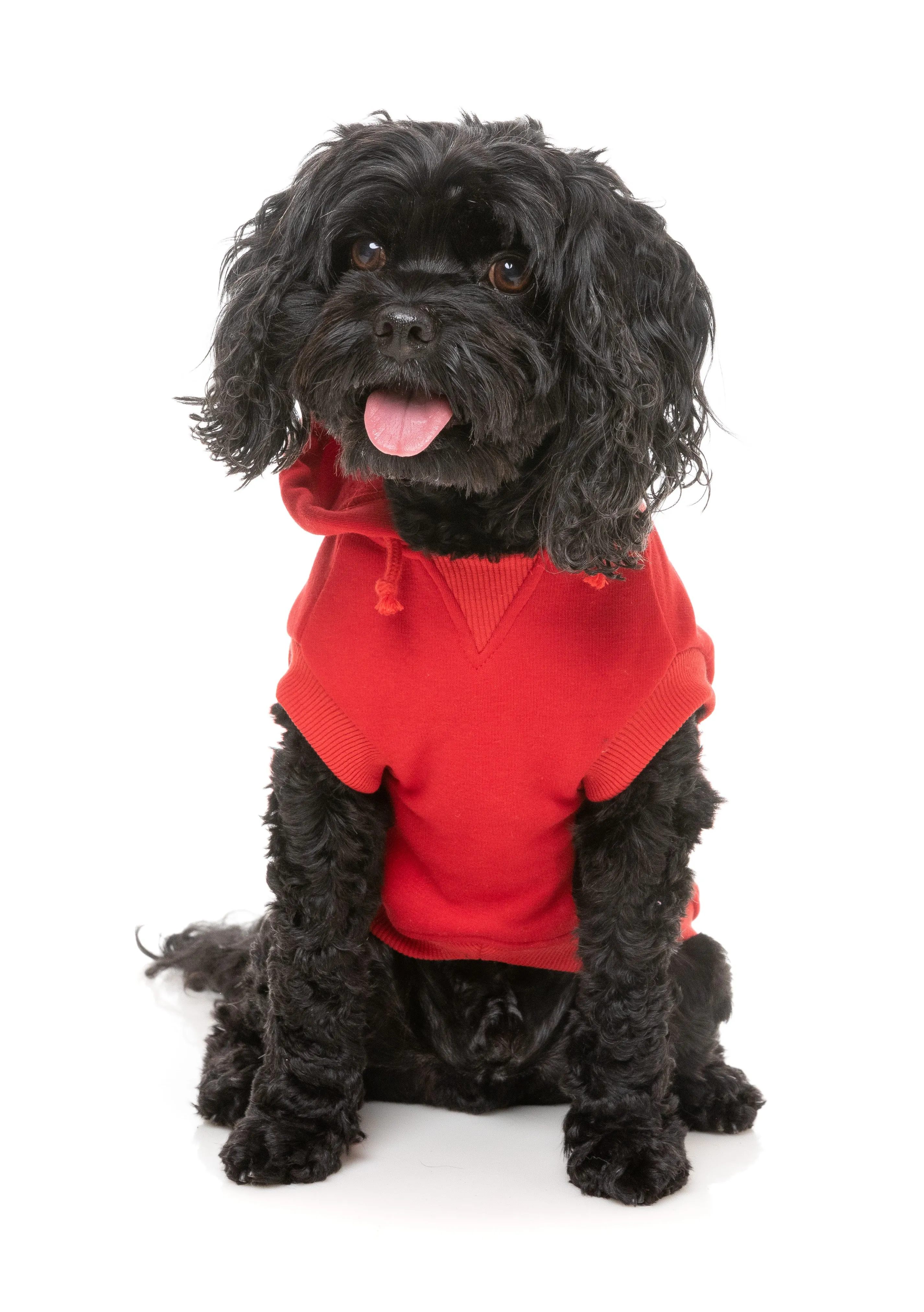 FuzzYard Flash Dog Hoodie Red