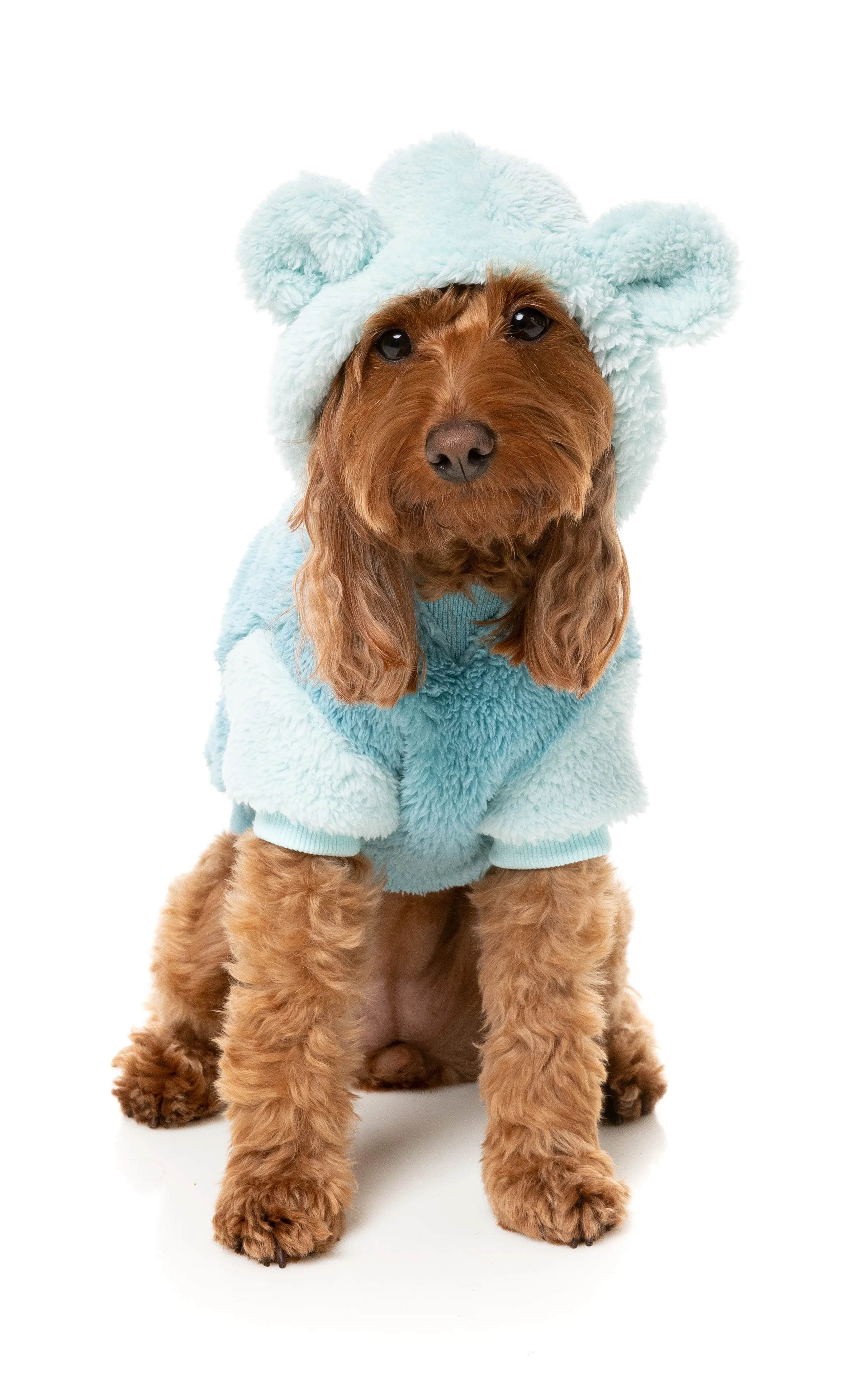 FuzzYard Winnie Dog Hoodie Blue