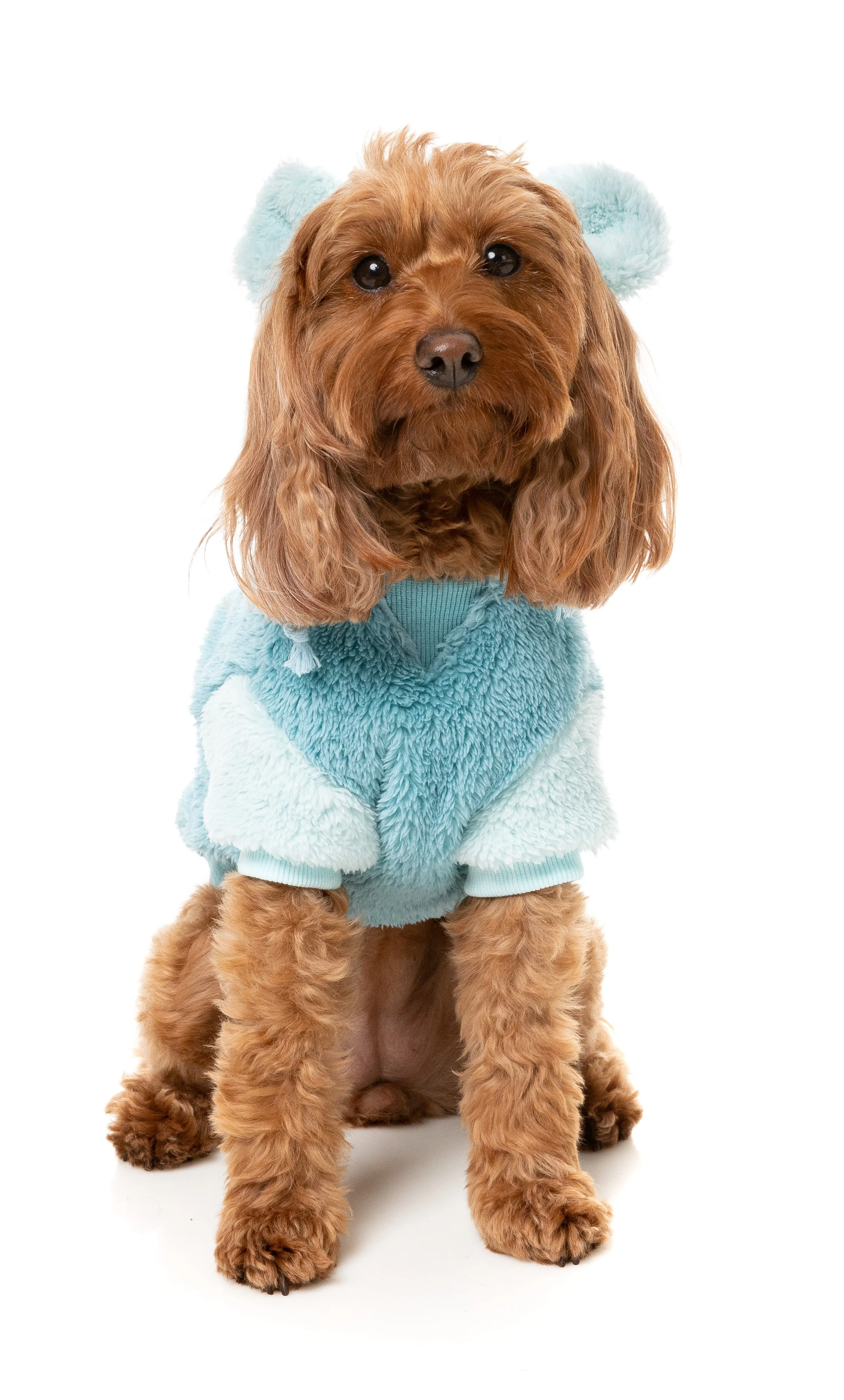 FuzzYard Winnie Dog Hoodie Blue