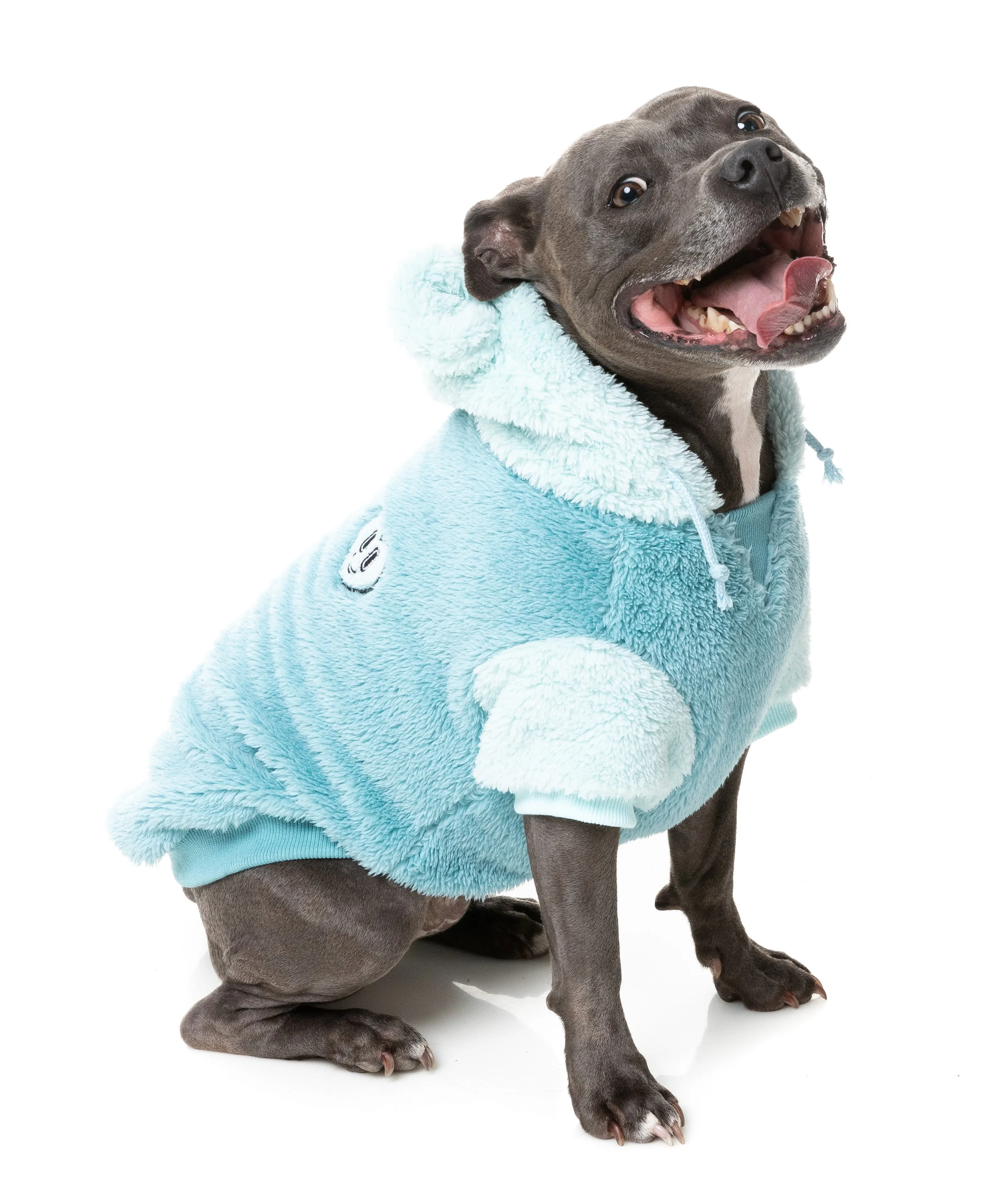 FuzzYard Winnie Dog Hoodie Blue