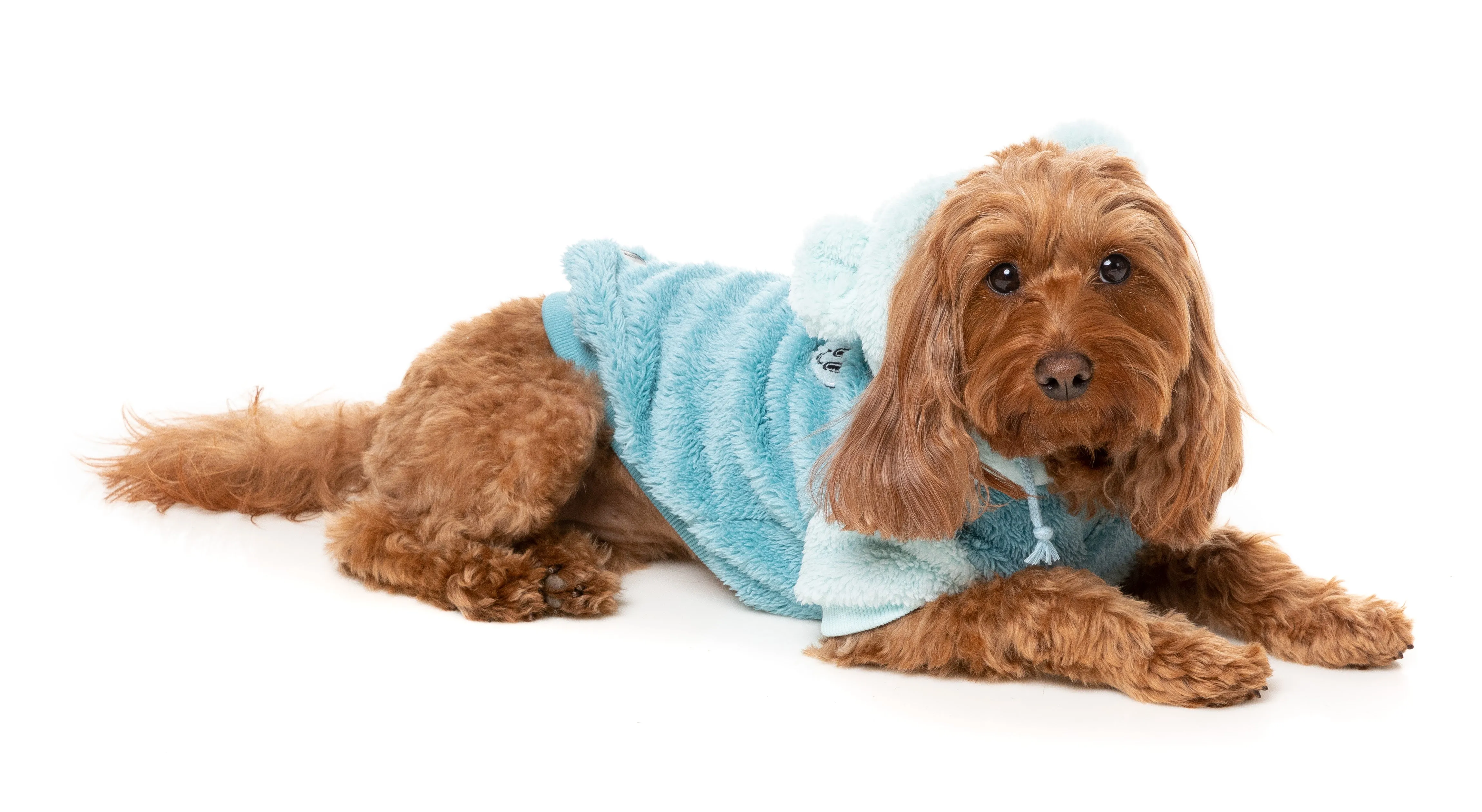 FuzzYard Winnie Dog Hoodie Blue