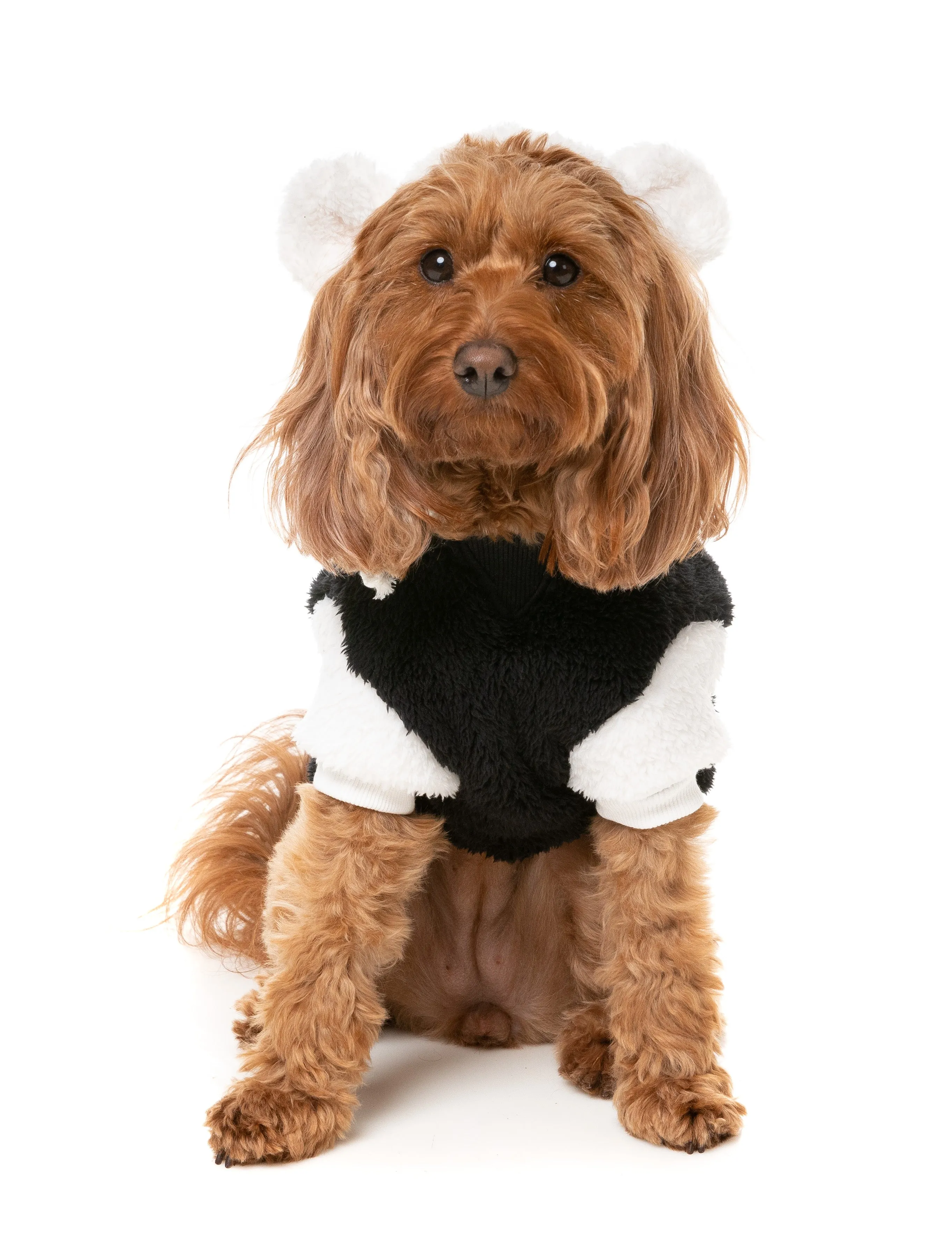 FuzzYard Winnie Dog Hoodie Panda