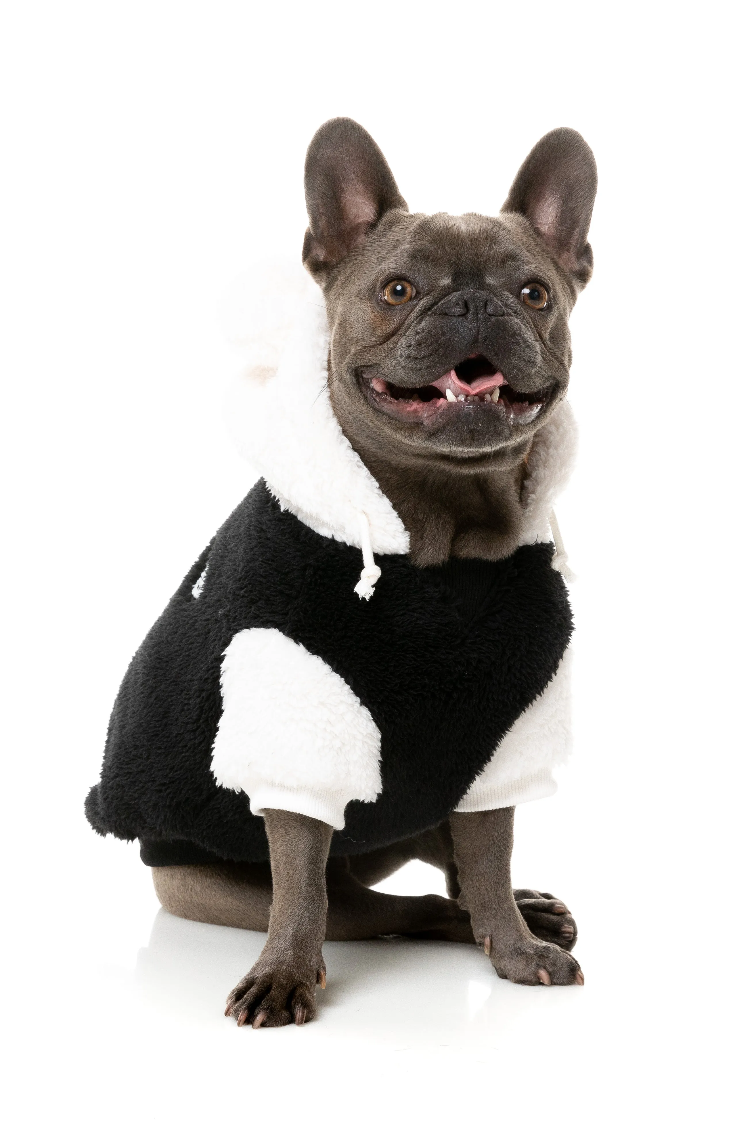 FuzzYard Winnie Dog Hoodie Panda