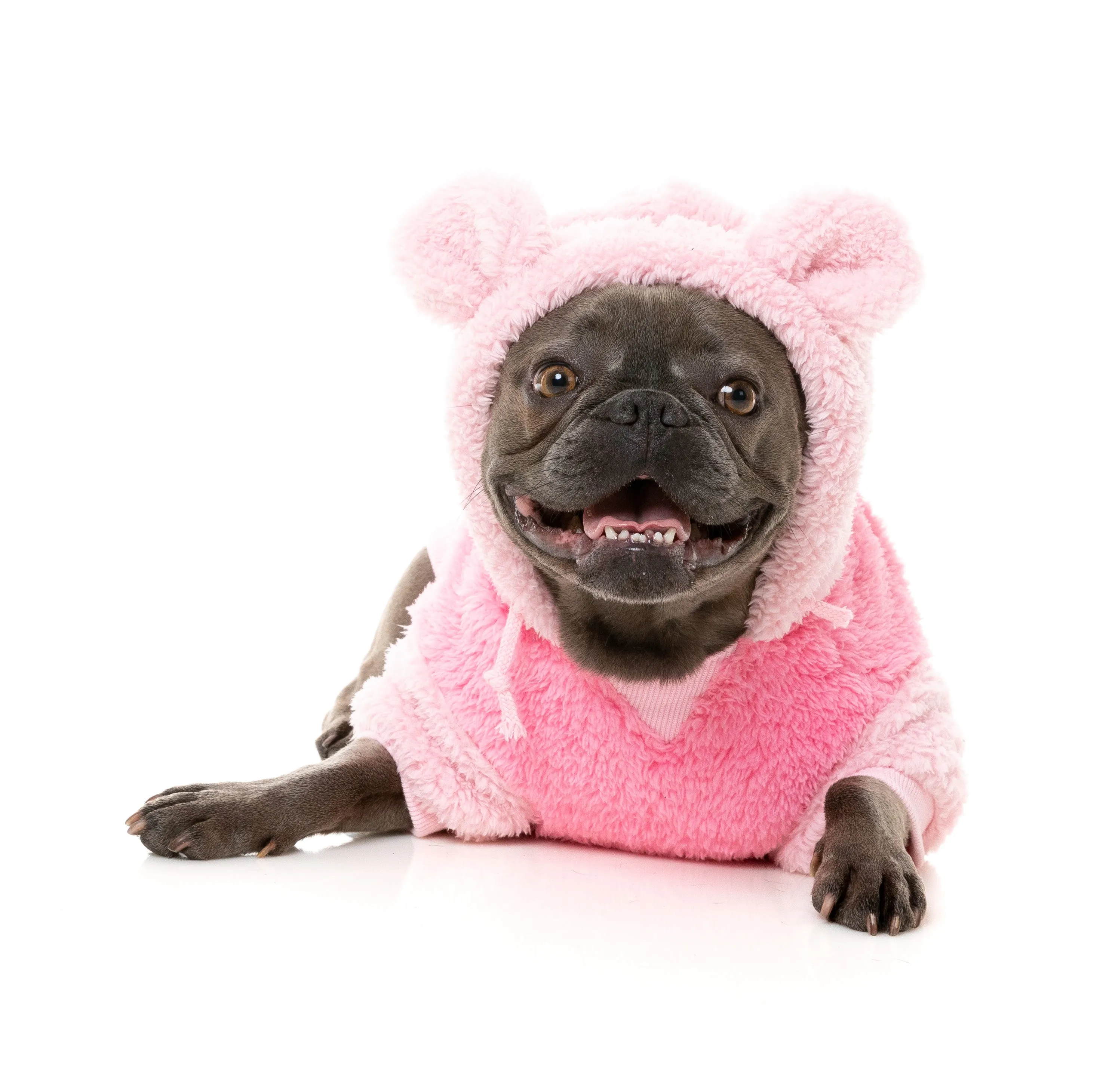 FuzzYard Winnie Dog Hoodie Pink