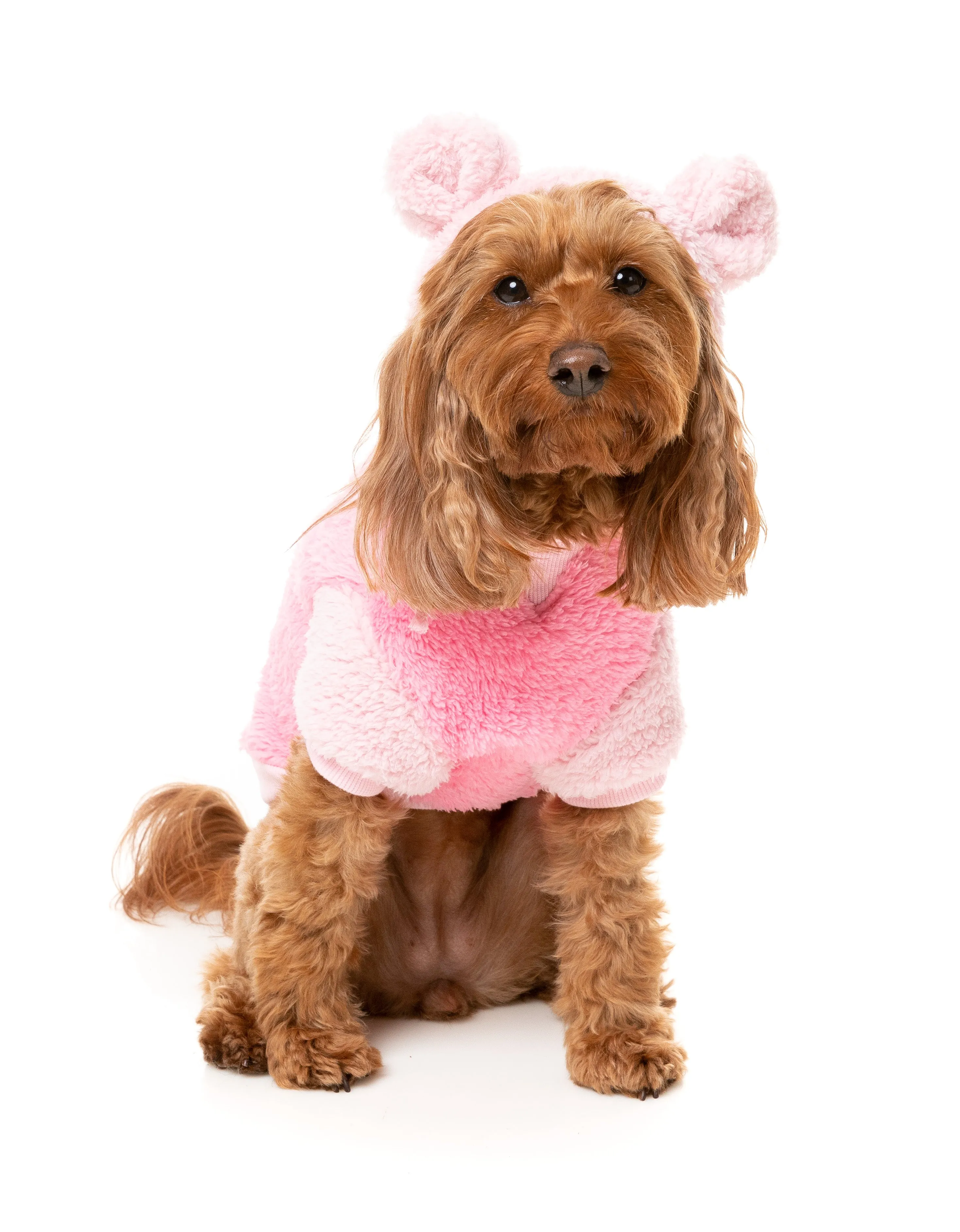 FuzzYard Winnie Dog Hoodie Pink