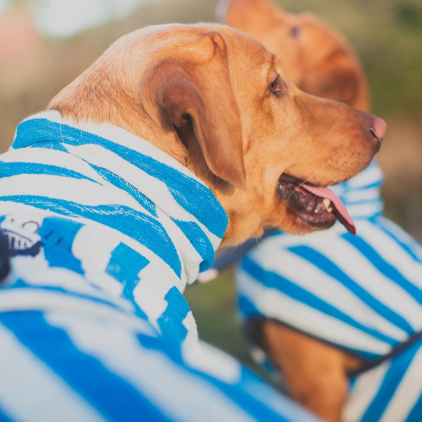 Harbour Hounds Sea Blue Stripe Drying Coat