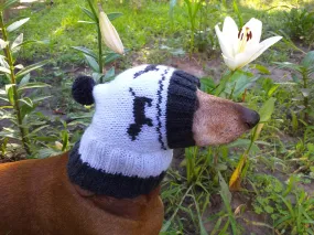 Hat for dachshund with dogs, knitted hat for dogs with dogs