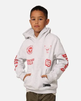 NBA Kids' Chicago Bulls Union Fleece Hoodie Silver Marle