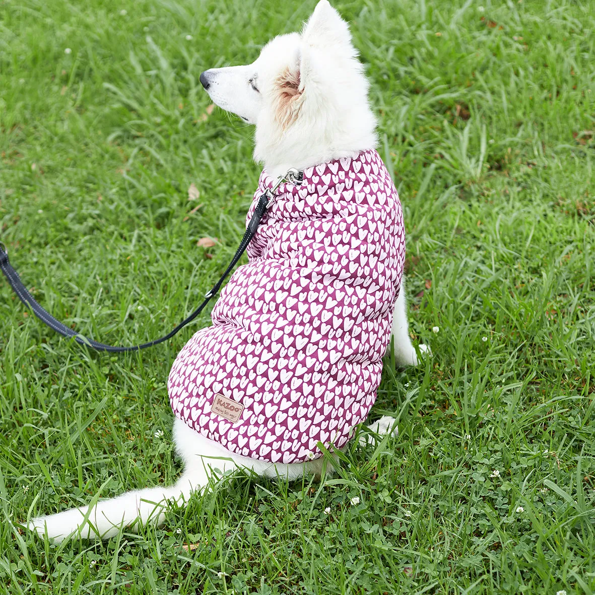 Pink Love Dog Snuggie