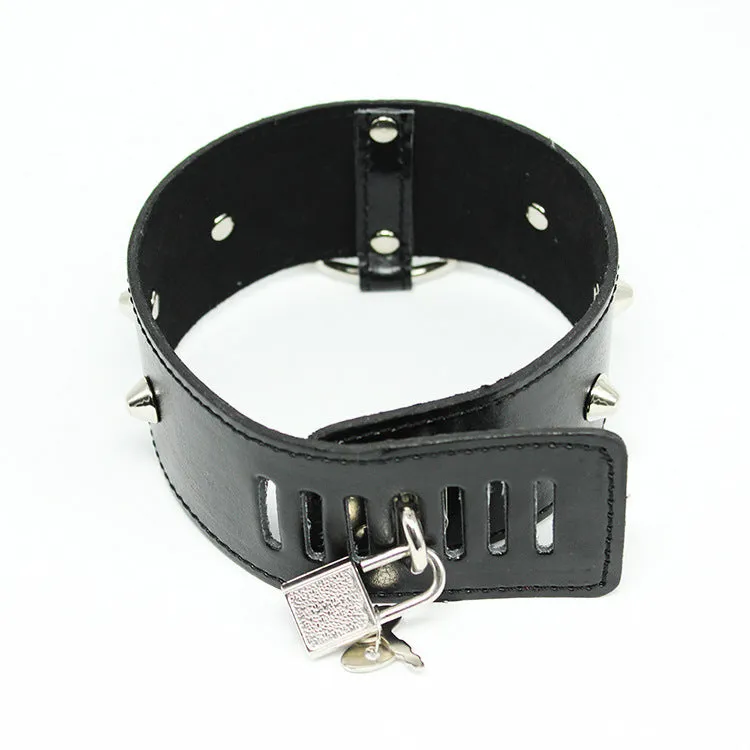 Royal Secret Faux Leather Collar and Lead